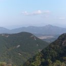 아미산 흑염소 농장 이미지