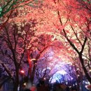 지산근린공원 이미지