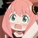 애니멀 패밀리 이미지