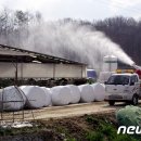 김정수농장 이미지