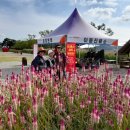 내양마을 이미지