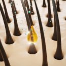 광주제일병원 이미지