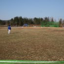 포천야구장 이미지