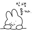 카페채홍