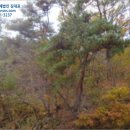 포항시북구61 이미지