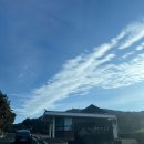 레인보우 당구클럽 | [골프장으로 떠나자] 두 번째 방문만에 햇살 아래 라운딩 성공!! 11월 초_용인 써닝포인트CC