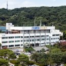 파발로 이미지