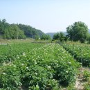 두산농장 이미지