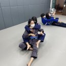 팀매드청주