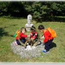 정심 어린이집 이미지