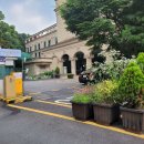 분당-209 이미지