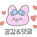 대한에스엠 주식회사 이미지