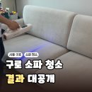 을-100 | 구로 소파청소 후기| 패브릭 쇼파 습식 청소 얼룩 제거 전후 비교