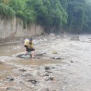 숲속에 우산정원 이미지