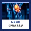 광명더나은정형외과의원 | 광명 십자인대 손상, 정형외과 가야 할까? 통증의학과에서 보는 기준