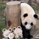 에버랜드 동물병원 이미지