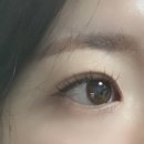 래쉬림