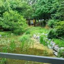 책달샘숲속작은도서관 이미지