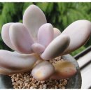 우혁농장 이미지