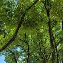 사성공원 이미지