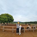 제주여객자동차주식회사 | 제주도여행 2탄 : 1일차 스카이워터쇼, 목장카페 밭디 feat. 테슬라제주스토어 수퍼차저 V3~^^