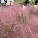 서이테크 이미지