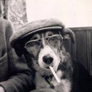 버스정류장 옆 이미지