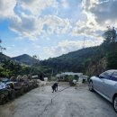 예술마을 705 이미지