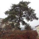 삼계면사무소 이미지