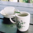 장기초교 이미지