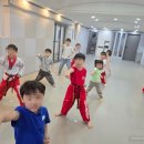 태양태권도 이미지