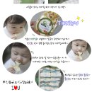 숲속의아침사과