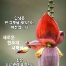 웃고삽시다 ㅡ재있는 우스게소리ㅡ 마돈나란ㅡ마지막으로 돈내고 나오는 사람ㅡ 영물이란ㅡ영원한 물주 ㅡ 오물이란ㅡ 오늘의 물주 ㅡ 스타란ㅡ 이미지