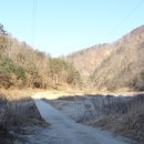 낙동강원시비경탐방로 이미지