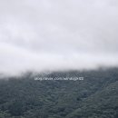 저산목장 이미지