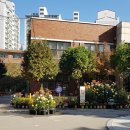 염동초등학교 이미지