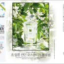 나무사랑블로썸