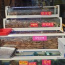 울진대게로 (군도6) | 울진 죽변항 현지인 대게맛집 수호성횟집 내돈내산 후기