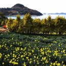 윤병원 건너편 이미지