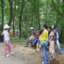 크린데이 이미지