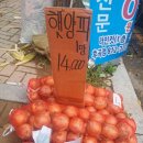 뚜레쥬르후곡