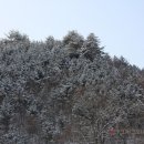 강원가든 이미지