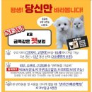 금쪽금쪽금쪽반려동물병원 네이버블로그