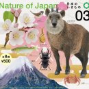 네이처 잉크 | 네이처테크니컬러 가챠- 일본의 생물3