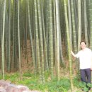 대나무골 이미지