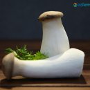 지에스농장 이미지