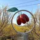 반곡 이동식 | [구례 가볼만한곳] 구례 산수유축제 주차 꿀팁 &amp; 실패 없는 반곡마을 인생샷 동선 200% 즐기기!