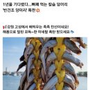 칼슘덩어리 &#34;반건조양미리 양미리&#34; 이미지