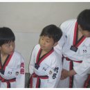 엄지태권도체육관 이미지