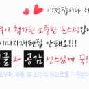에이비피아이 네이버블로그